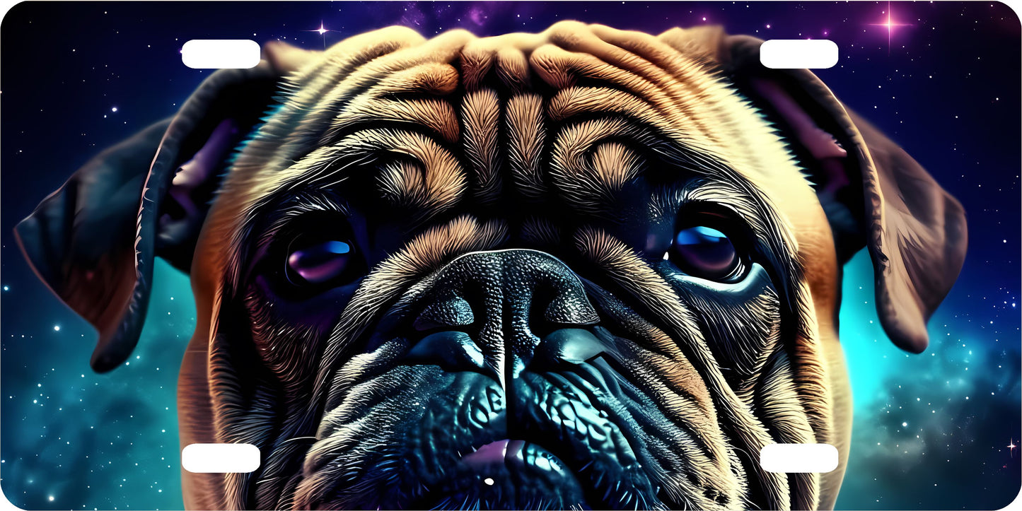 License Plate Galaxy Pets