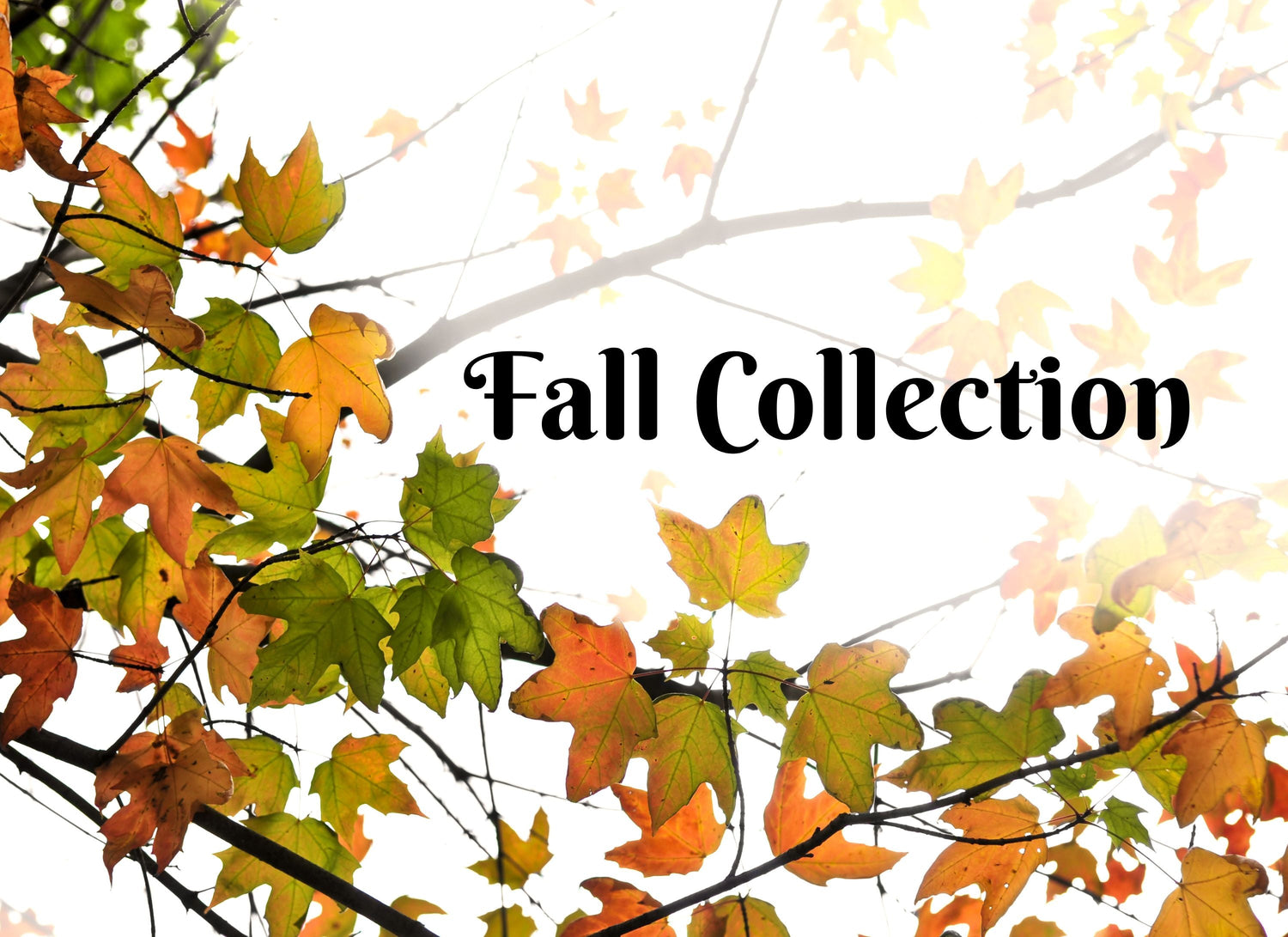 Fall Collection