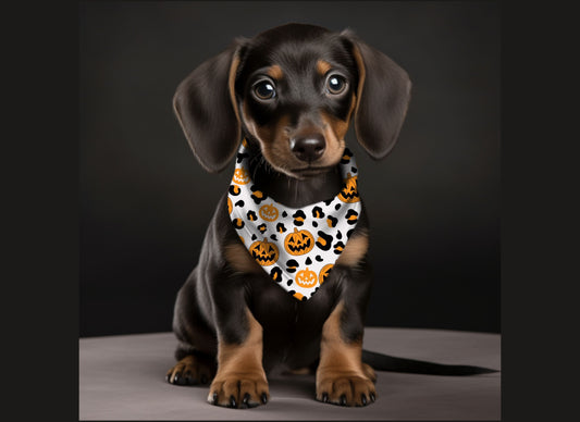 Dog Bandana-Animal Print Pumpkins Multi