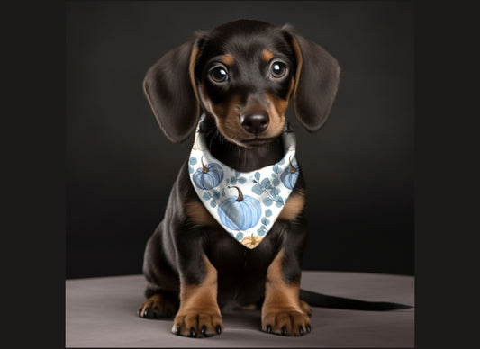 Dog Bandana-Fall Pumpkins