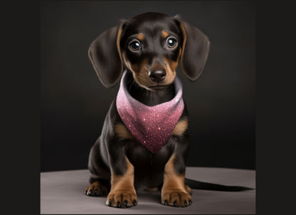 Dog Bandana-Ombre & Glitter Multi