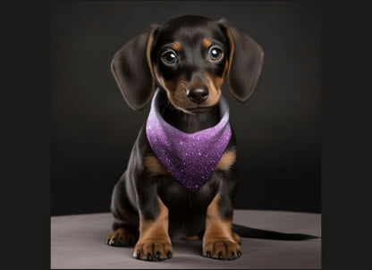 Dog Bandana-Ombre & Glitter Multi