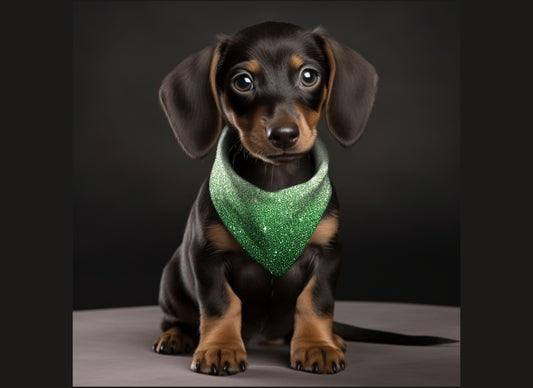 Dog Bandana-Ombre & Glitter Multi