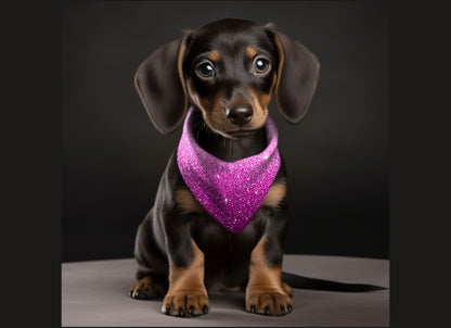 Dog Bandana-Ombre & Glitter Multi