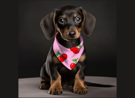 Dog Bandana-Pink Cherries