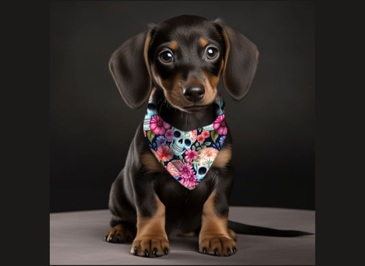 Dog Bandana-Colorful Skull Print