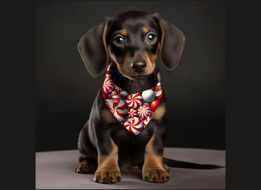 Dog Bandana-Peppermint Candy Print
