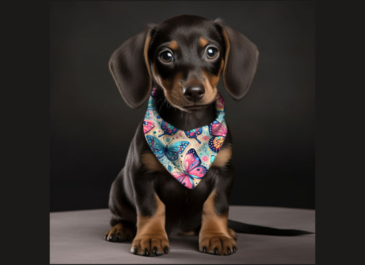 Dog Bandana-Butterflies Multi