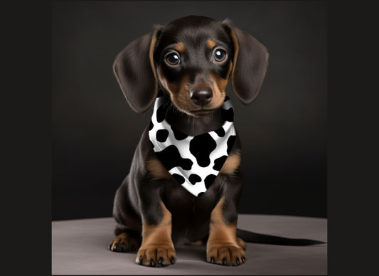 Dog Bandana-Black and White Cow Print Multi