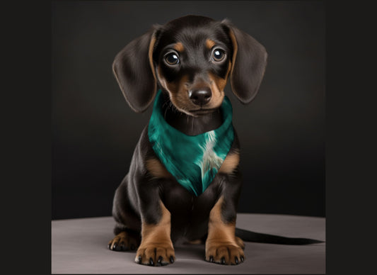 Dog Bandana-Blue Furr Print