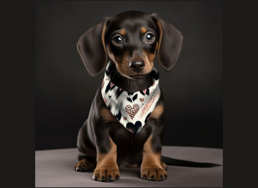 Dog Bandana-Animal Print Hearts Multi