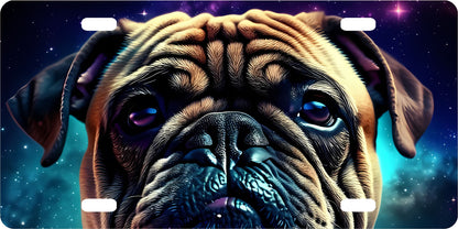 License Plate  Galaxy Pets