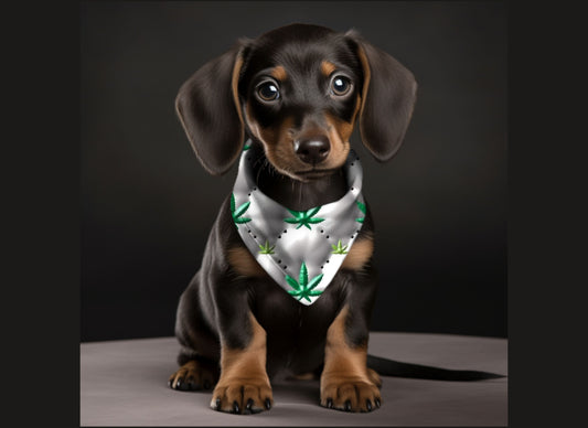 Dog Bandanas-Green Happy Leaves Print