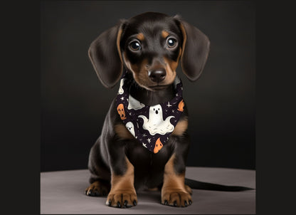 Dog Bandana-Halloween Cuteness  Multi