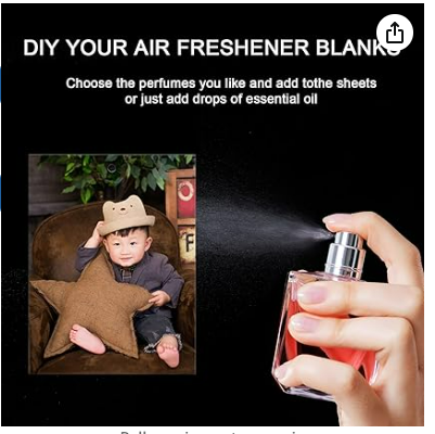 Car Air Fresheners- Sarcasm
